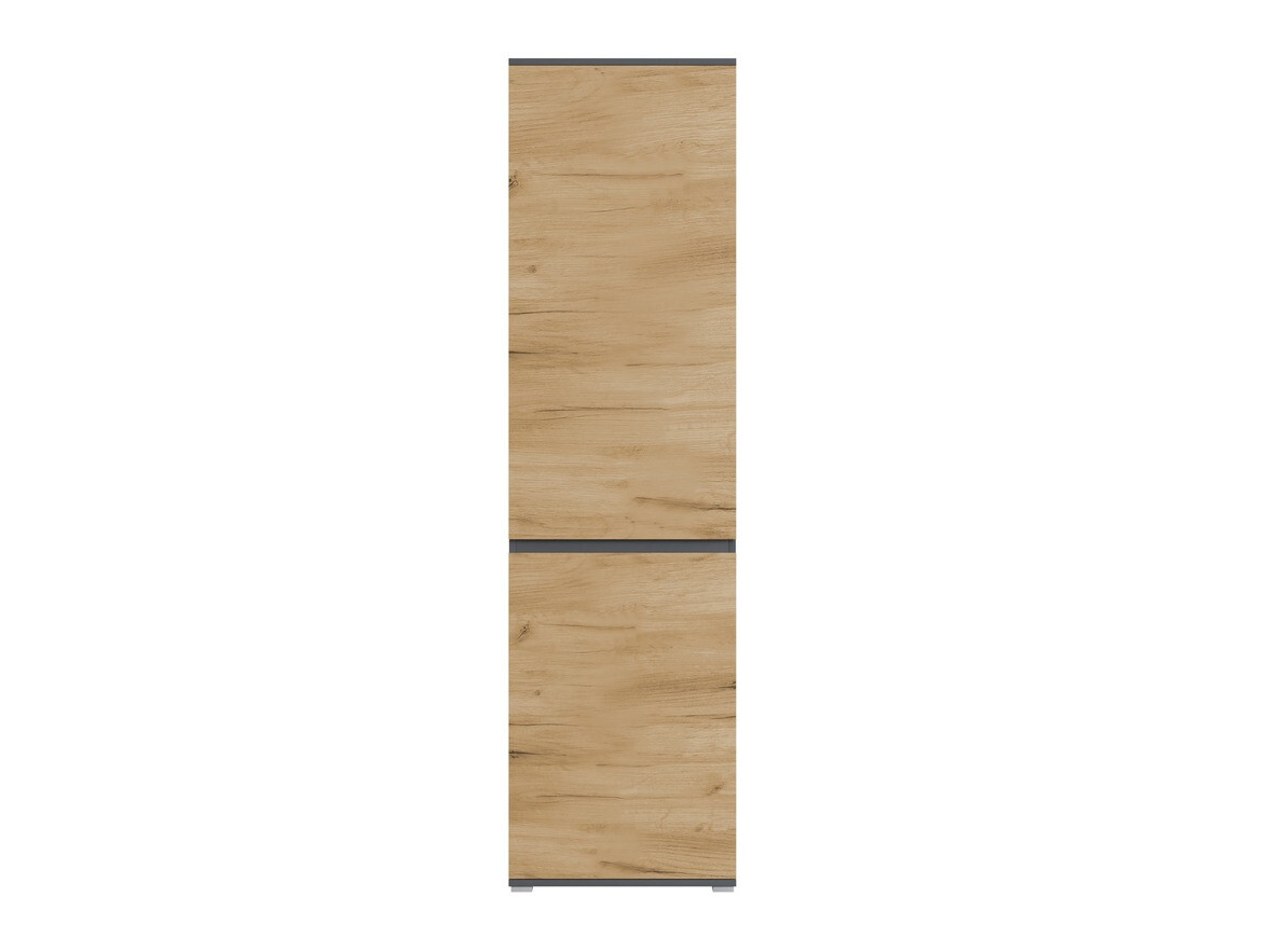 Wardrobe Elitivi 103 (Anthracite + Navarra oak)