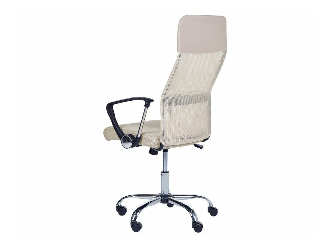 Office chair Berwyn 267 (Beige)