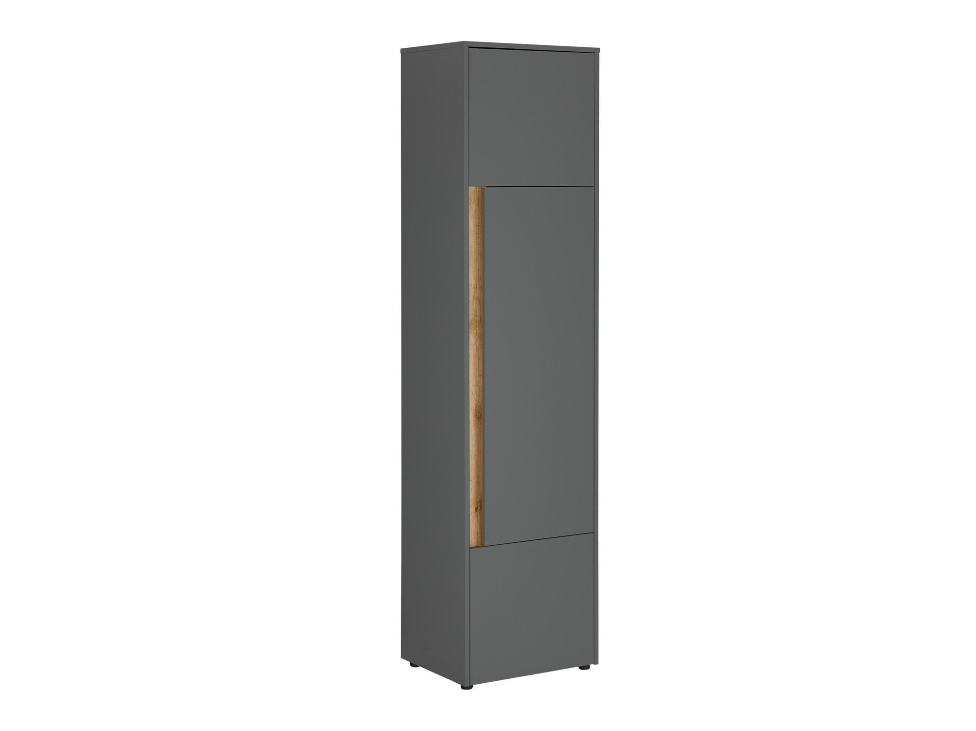 Bookcase Elbsori 103 (Anthracite + Wotan Oak)