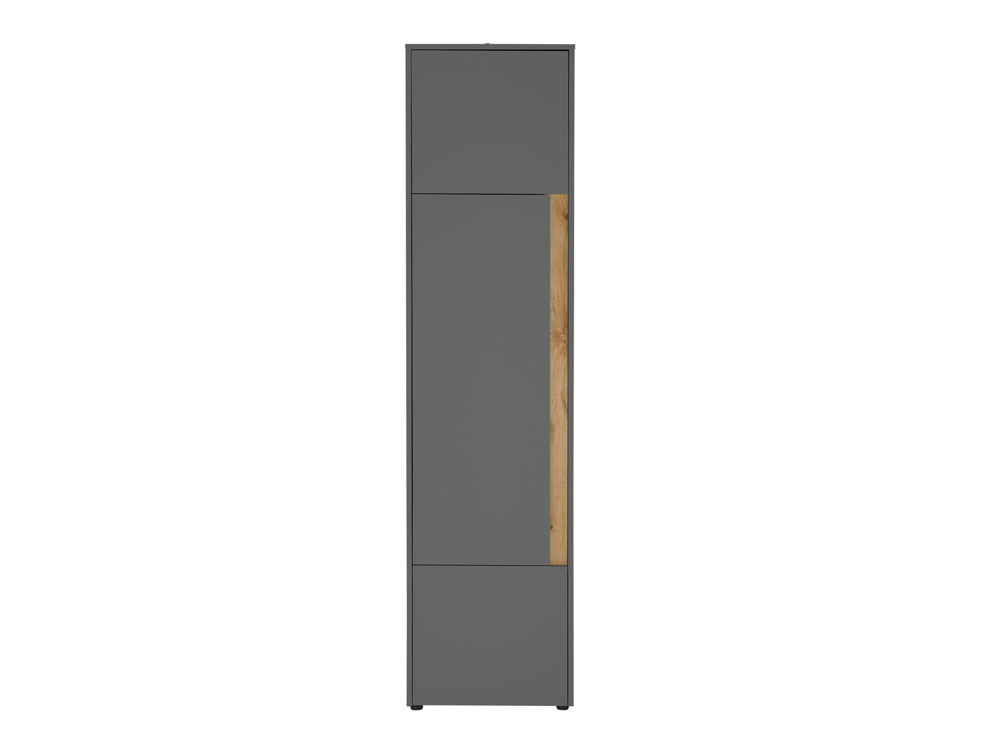 Bookcase Elbsori 103 (Anthracite + Wotan Oak)