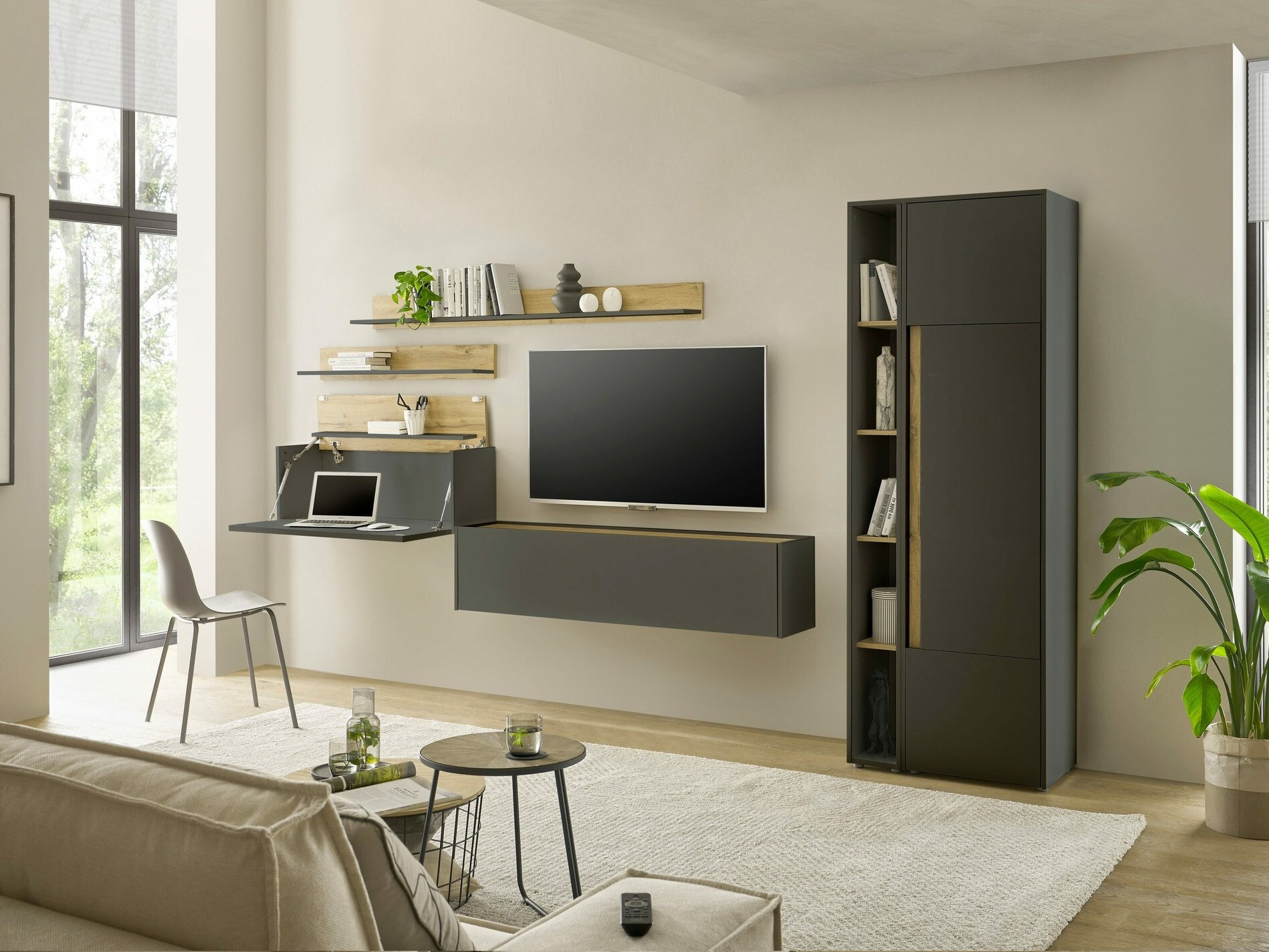 Bookcase Elbsori 103 (Anthracite + Wotan Oak)