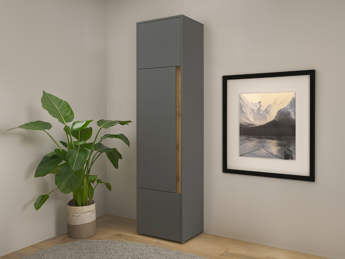 Bookcase Elbsori 103 (Anthracite + Wotan Oak)