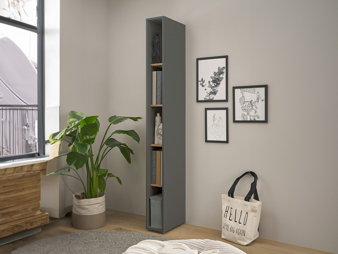Bookcase Elbsori 105 (Anthracite + Wotan Oak)