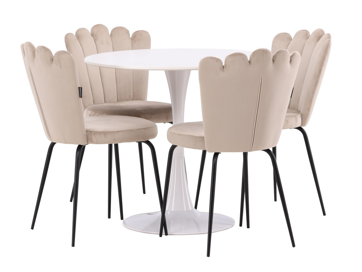 Σετ τραπεζαρίας Dallas 4591