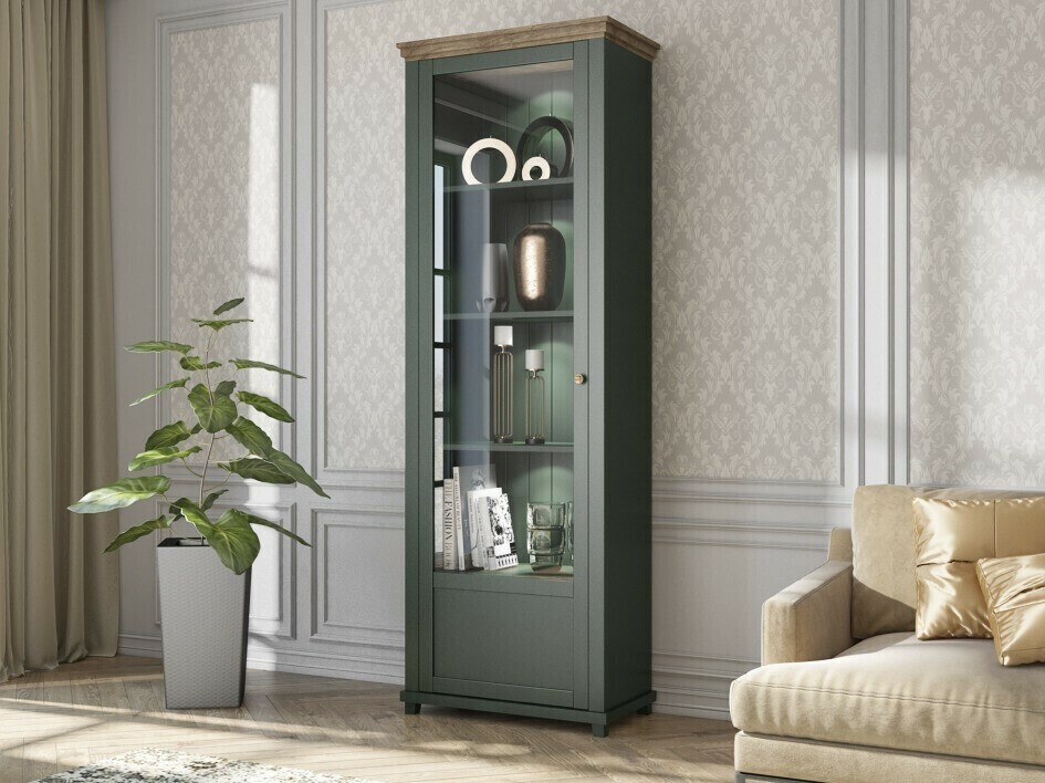 Bookcase Tolnue 101 (Dark green + Lefkas oak)