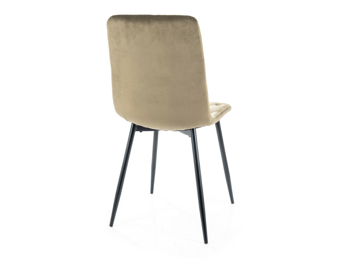 Chair Detroit 741 (Light olive tree)