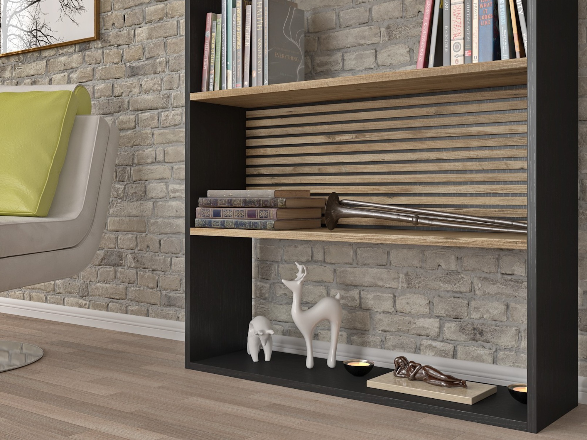 Βιβλιοθήκη Ciraviu 102