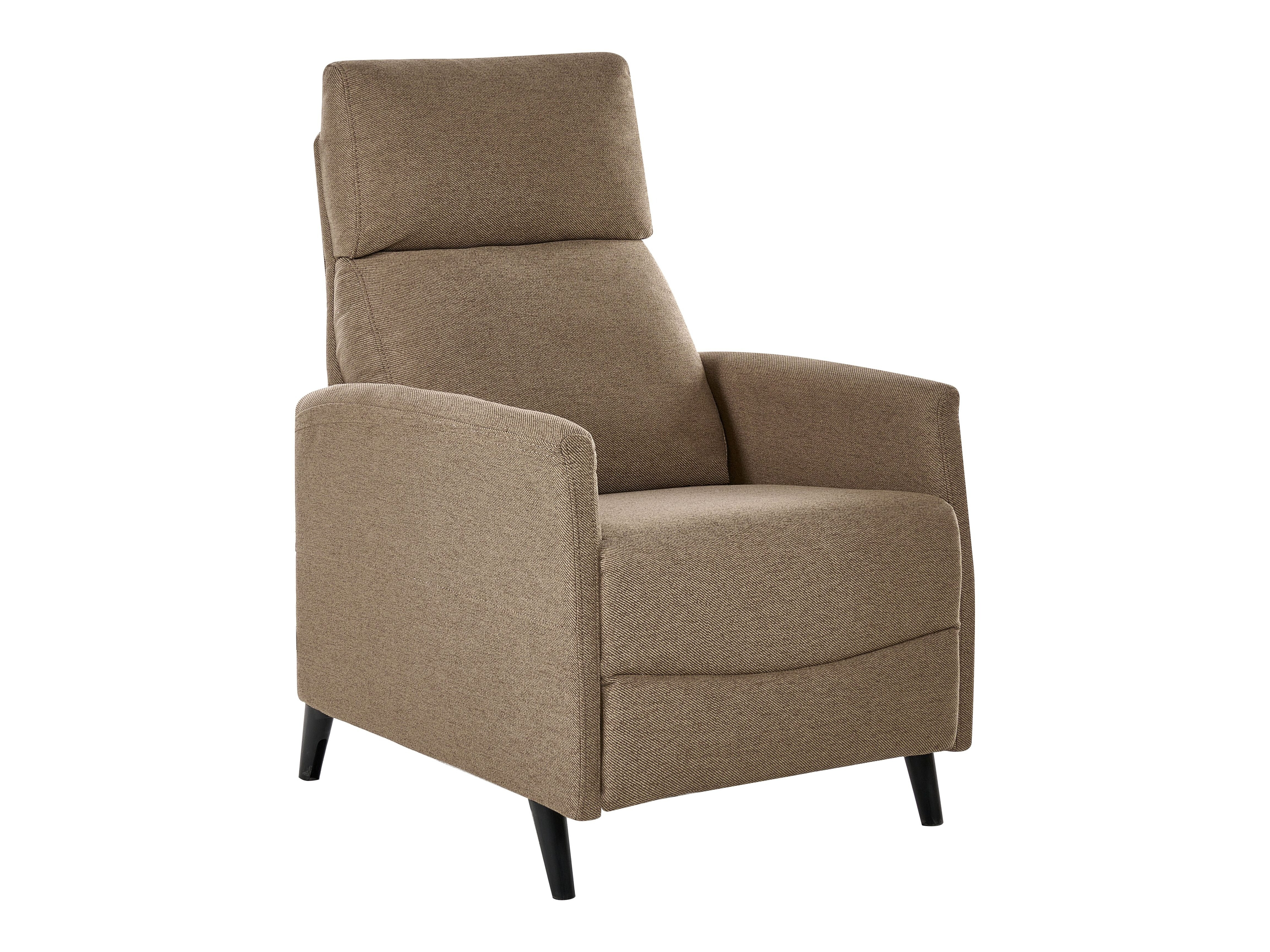 Armchair recliner Berwyn 2462 (Brown)