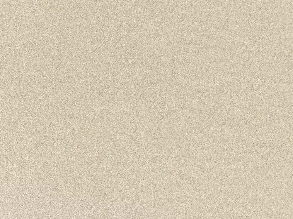 Armchair Berwyn 3124 (Beige)