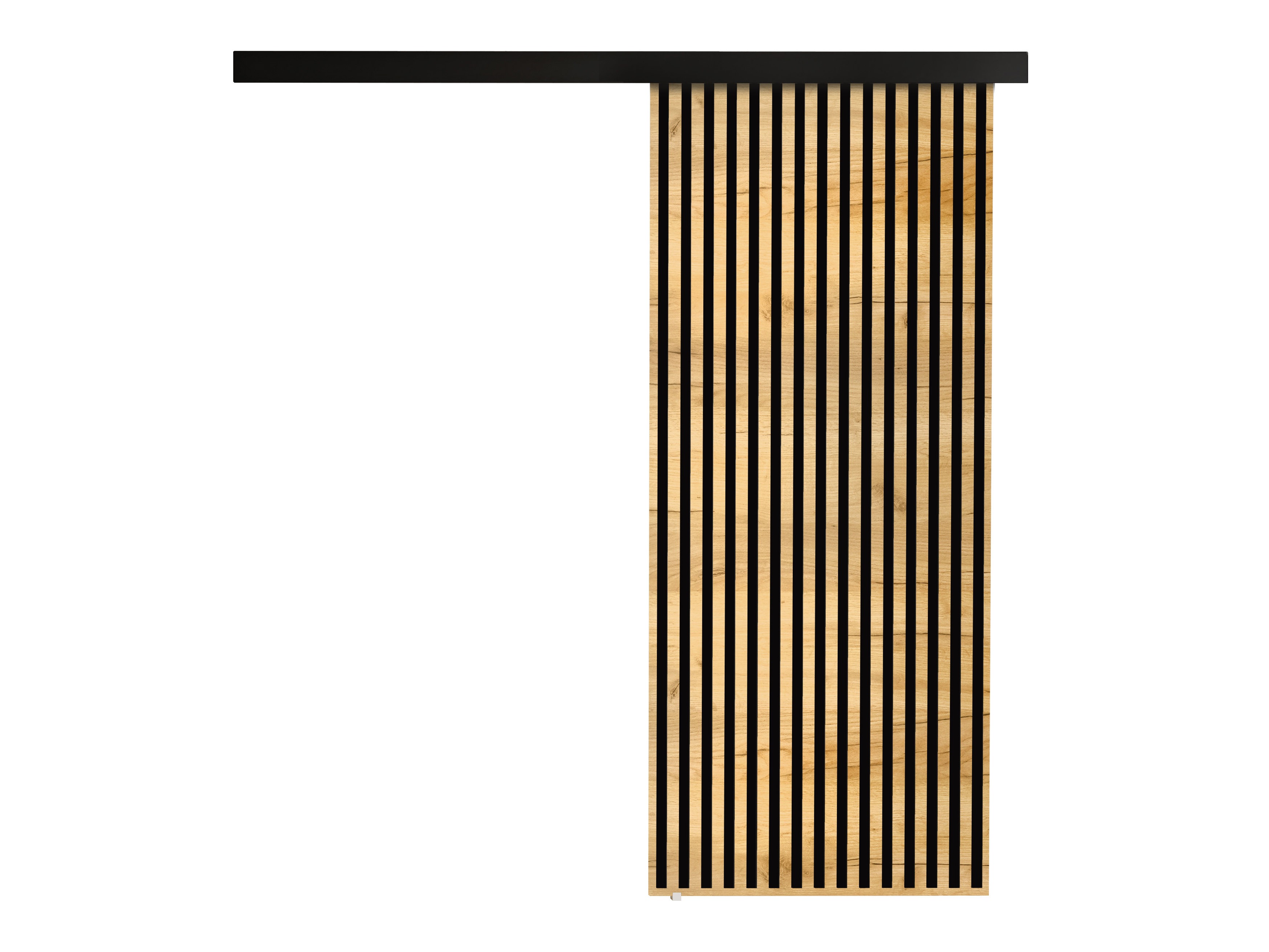 Sliding door Dover 202 (Craft golden oak + Black)