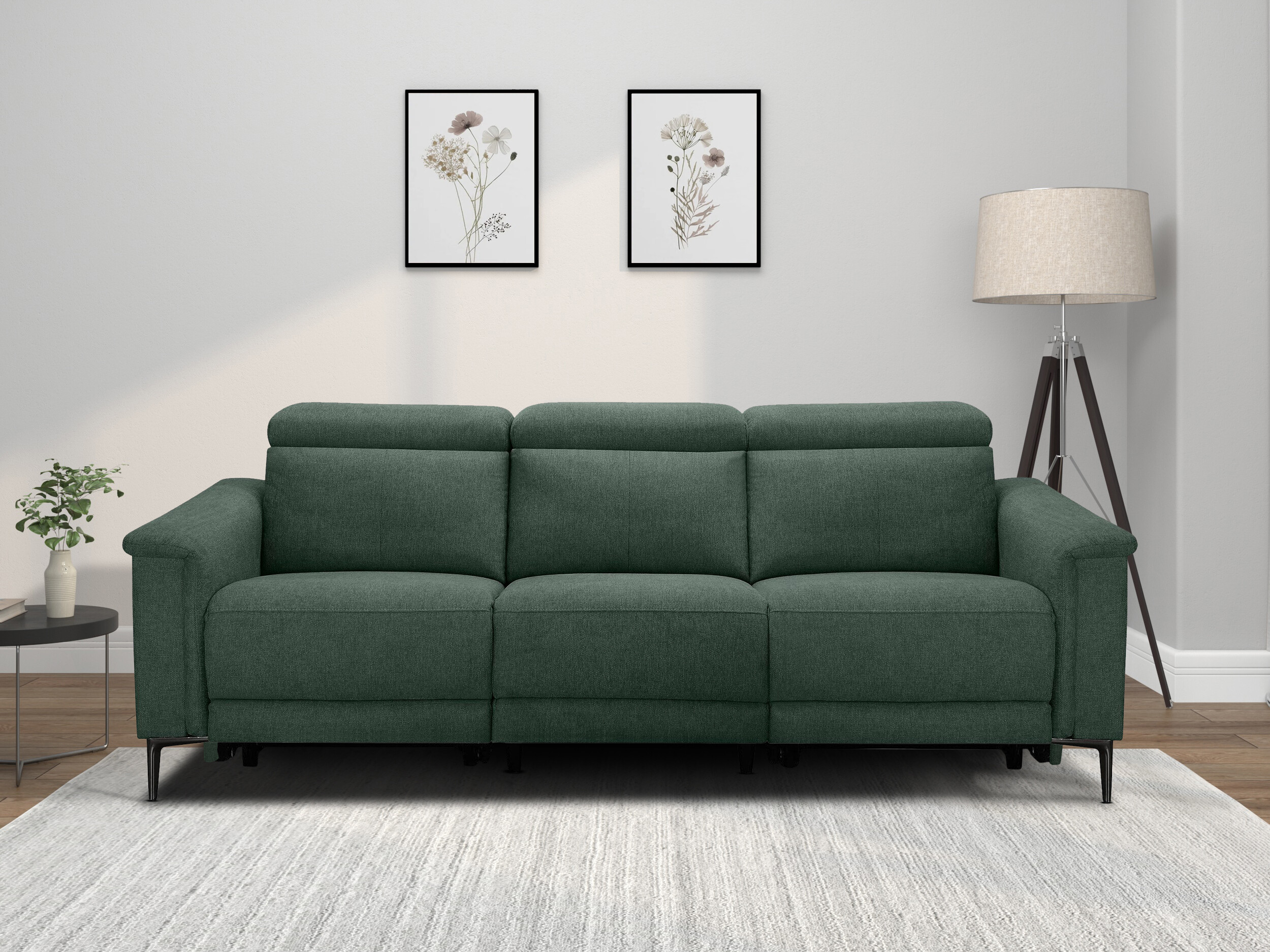 Sofa recliner Denton 1497 (Dark green)